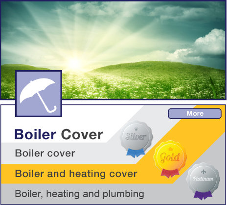 Boiler Cover Bramhall